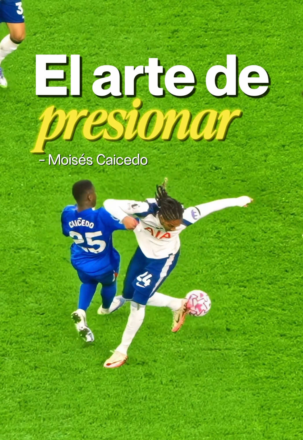 Moisés Caicedo nos enseña a presionar, cerrar líneas de pase y acortar la cancha 👶🇪🇨 #moisescaicedo #chelseafc #seleccionecuatoriana #caicedo #mundial2026 @Chelsea FC @Moises_Caicedo55 