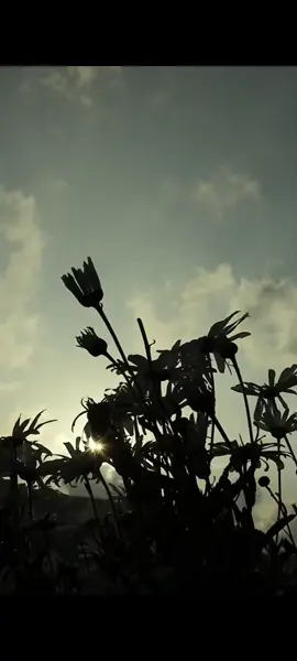 #gülümse #duygusal #🥀🤍 #hisler #içerik 