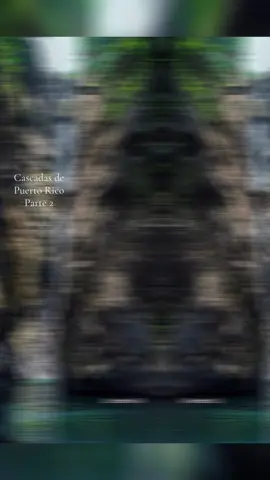 Cascadas de Puerto Rico 2 #AlbertoOsorio #photography #puertoricotiktok🇵🇷 #forest #puertoricotiktok🇵🇷 