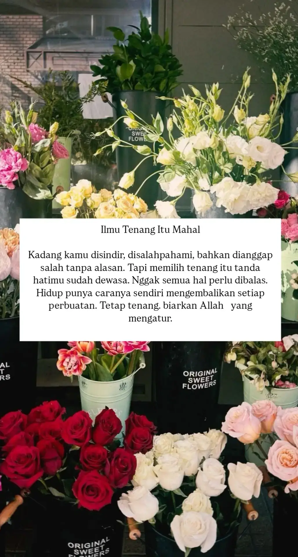 #ilmutenangitumahal #mutivasihidup #islamicreminder #fypage 