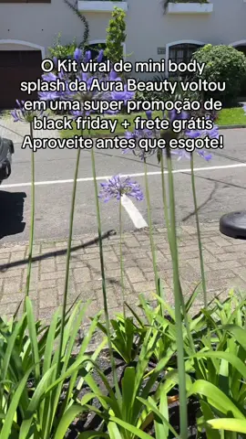 #aurabeauty #afroditegarden #dicasdebeleza #tiktokshopblackfriday #perfume 