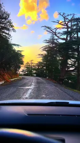 #farida_beroual❤ #وادي_الماء_مراونة_باتنة_الشاوية💥🥰😍💪❤️ #شاوية_بنت_الاوراس_العالي_ناس_باتنة #باتنة_خنشلة_ام_البواقي_سوق_هراس_تبسة 