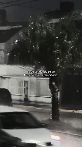Metamorfosis🙌  #paratiiiiiiiiiiiiiiiiiiiiiiiiiiiiiii #energia #fyppppppppppppppppppppppp #following #metamorfosis 