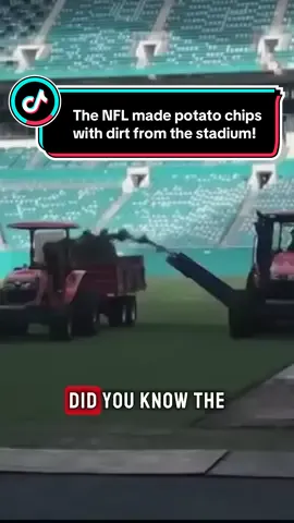The NFL made potato chips with dirt from the stadium! #foryoupage #nfl #potato #chips #newyork 