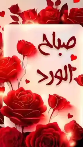 #صباحكم_أحلى_صباح #صباح_الخير #aicha #ترند 