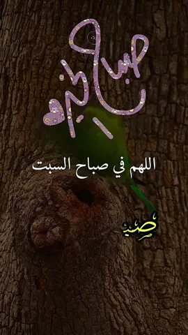 دعاء الصباح اللهم إني أسألك الثبات في الأمر  وأسألك العزيمة على الرشد وأسألك شكر نعمتك وحسن عبادتك  وأسألك قلبا سليما ولسانا صادقا وأسألك من خير ما تعلم وأعوذ بك من شر ما تعلم وأستغفرك لما تعلم، إنك أنت علام الغيوب #صباحكم_أحلى_صباح #صباحكم_معطر_بذكر_الله #صباح_الورد #صباح_الخير #صبحكم_الله_بالايمان_وطاعة_الرحمن 