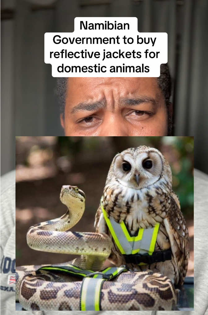 #namibiantiktoker🇳🇦 #fyp #southafricatiktok🇿🇦 