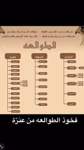 #فخوذ_الطوالعه_من_ولدعلي_من_عنزه