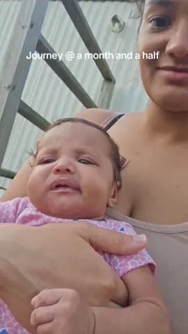 Trying to get fresh air, but the dogs were not having it! back inside we went.  #throwback