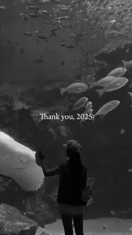 and with that! the 2025 season comes to an end | year scroll photo video recap dump template #2025recap #2025dump #recap #newyear #CapCut 