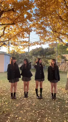 紅葉綺麗〜♪🍁🍁#ljk #紅葉 #松国 #おすすめ #fyp 