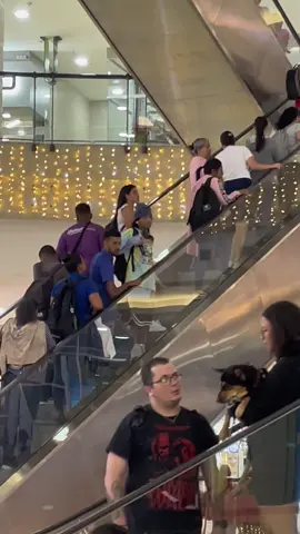 HANKY PANKEO EN ALTA #fyp #music #viral