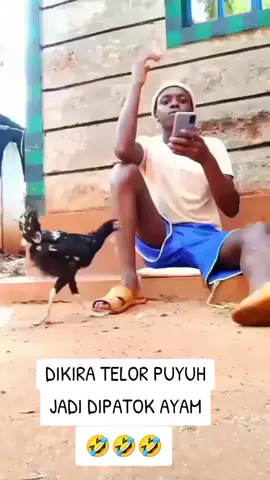 #lucu #lucu_ngakak  #komedi #komedikocak  #semuaorang 