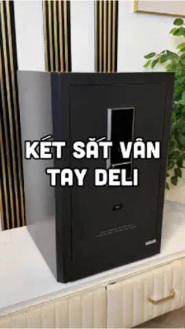 Két sắt vân tay cao cấp Deli 
