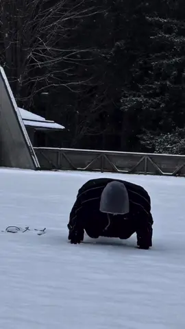 متفشلش صاحبي 💪🏻.        #fypppppppppppppp #تصميم_فيديوهات🎶🎤🎬 #algeria #قوالب_كاب_كات #explore 