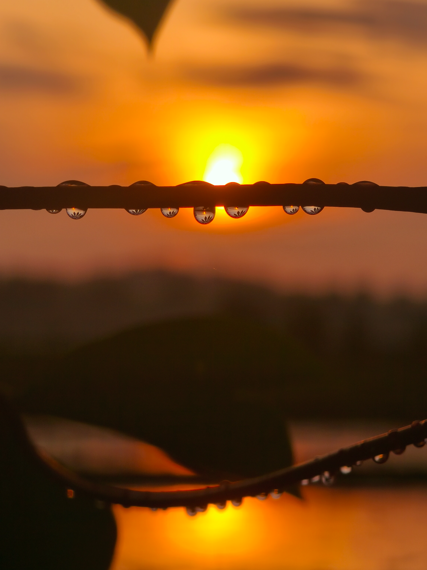 .. 🌄 ..#sunrise #morningvibes #xiaomi15t #xiaomi15tpro #fyp #fyppppppppppppppppppppppp #4k #60fps