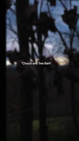 Just a reminder,  slow down, get out doors. Talk to God and remember what the holidays are really about. Take a kid hunting or fishing, or just go out and sit and listen to God's creation. 