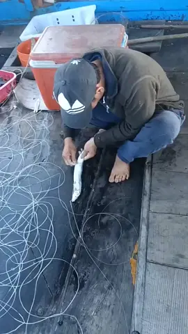 mmg best.. asyik tarik ikan je..