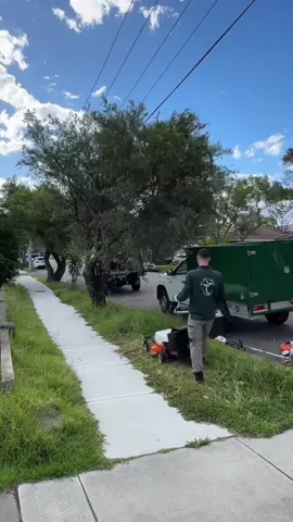 Mowing an overgrown lawn with the STIHL RMA 765V battery lawn mower #gardening #asmr #viral #tools #DIY 