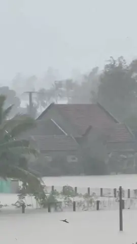 Mất hết rồi , xóm làng giờ như 1 biển nước #hoàthịnh #phuyen #lũlụt 