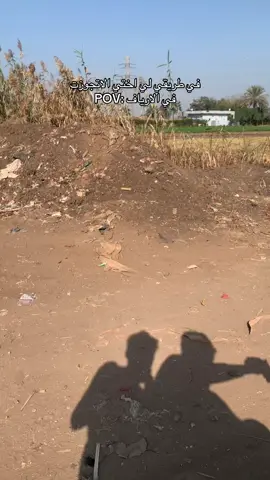 في طنطا في المنشيه #foryoupage #fypシ #fyppppppppppppppppppppppp #foryou #طنطا 