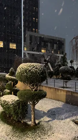 #setif #now ❄️🫶🏻