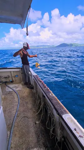 #pêcheprofessionnelle #pêcheprofonde #martinique 