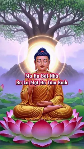 Bát Nhã Tâm Tâm - Thích Trí Thoát #CapCut #tambaobt #batnhatamkinh #xuhuongtiktok #thichtrithoat 