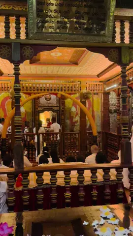 රටටම සෙත් දෙන පින්කෙත 🙏🙏🙏 #kandy #daladamaligawa #daladaperahera #kandy🌸🍬 #fvpシ 🖤