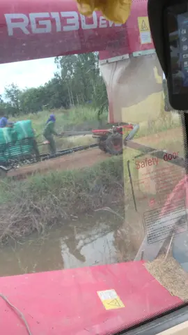 បាទអំបិលបាត់ទៅហើយ 😂ខំច្រូតពីរទឹកមកបានហើយ នៅធ្លាក់ទឹកដដែល😁😁🌾🌾