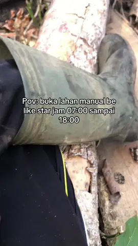 Pov buka lahan manual🥴🥴 #petanimuda#petaniindonesia🇮🇩🇮🇩🇮🇩🌿🌿#petanisawit#sawit#sawitbalap  