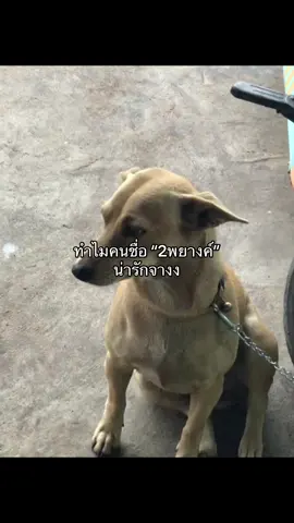 #fyppppppppppppppppppppppp #เปิดการมองเห็นtiktok #เธรดความรู้สึก #ฟีดดดシ #เธรดเพลง 