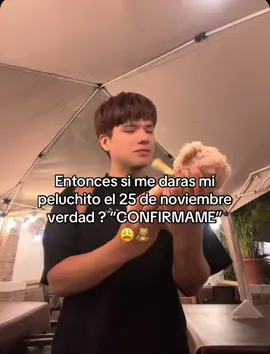 Según tiktok el 25 de noviembre se regala peluches 😩 #paratii #peluche #peluches #25denoviembre #confirmame 
