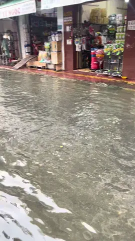 Nước lên nữa rồi 