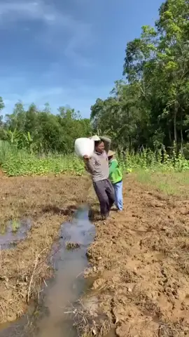 #creatorsearchinsights rilis hari ini 