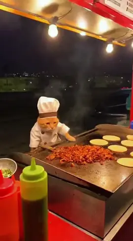 El michi taquero no hace devoluciones, solo espatulazos 😭🌮 #gatostiktok #taqueros #humormexicano #tiktokmexico #gatosgraciosos 