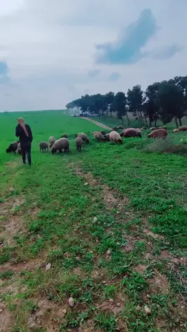 .  . ｆｇ الله يرحمك ابوي…. 😔ڤأ لايت الماضي يعود. . 💔