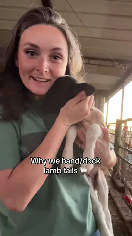 Learning lamb care one step at a time 🐑 First year lambing, still figuring it all out!  #lambing #farmlife #sheeptok 