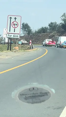 #travel #viral #cars #track 