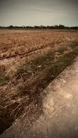 chill🤍#canhdepchill #nhacchillphet🎶 #xuhuong .....