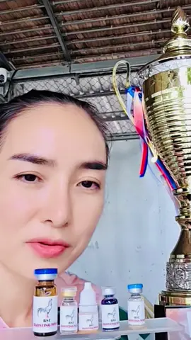 AE vào giỏ hàng xem giá sale #baosting #baostingshop  #gadacuasat #gàđá #traigabaosting 