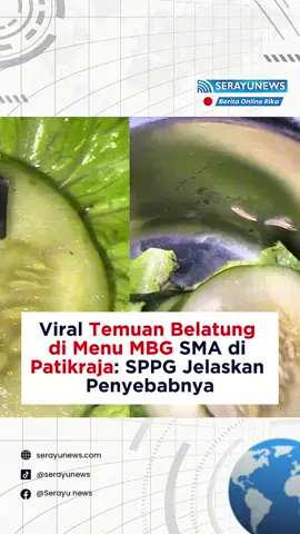 Temuan diduga belatung hidup dalam menu Makan Bergizi Gratis (MBG) di salah satu SMA negeri di Patikraja memicu perhatian publik. Video kejadian itu pertama kali diunggah di Facebook @Patikraja Dalam Info dan langsung viral. SPPG Patikraja memberi klarifikasi bahwa benda dalam video tersebut kemungkinan adalah ulat dari sayuran segar yang diproses cepat pada malam hari. Ahli gizi MBG juga menyampaikan permintaan maaf dan meminta masyarakat menyampaikan keluhan melalui jalur resmi agar tidak terjadi kesalahpahaman. Forkopimcam, Puskesmas, hingga pihak sekolah sudah melakukan pengecekan dan evaluasi terhadap kejadian ini. Menurutmu, apa langkah paling penting untuk meningkatkan standar kebersihan dalam program MBG ke depan? Berita selengkapnya, bisa Anda klik di IG Stories @serayunewscom Reporter: Amin Wahyudi #beritaindonesia #serayunews #patikraja #banyumas #newsupdate                  