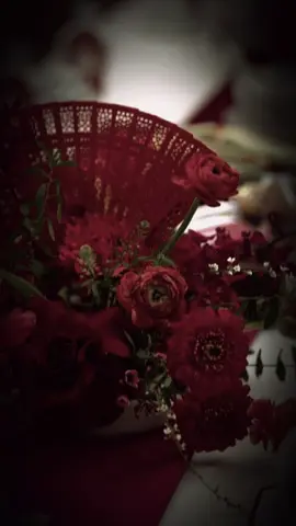 +1 nhạc đám cưới #caubaradio9x #nhachaymoingay #nhacnaychillphet 