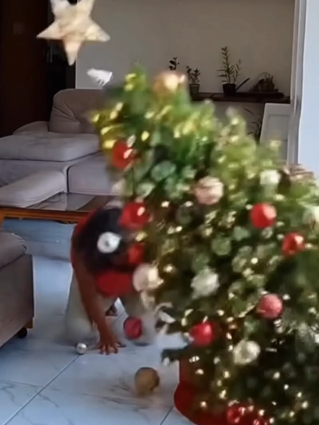 GATO DERRUBA ÁRVORE DE NATAL!!🎄🎁 Mas você pode comprar uma nova agora em promoção no Tiktok shop!!!#arvoredenatal #tiktokshop #cctv #fy #ai 