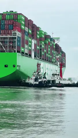 Tàu lai hỗ trợ tàu EVERGREEN quay đầu rời cảng GEMALINK #xuhuongtiktok #xuhuong 