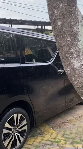 Pesona mobil 3,5jt/day #rentalmobillampung #