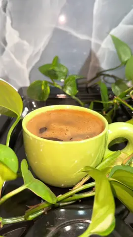 صباح الخير 💚🌷 