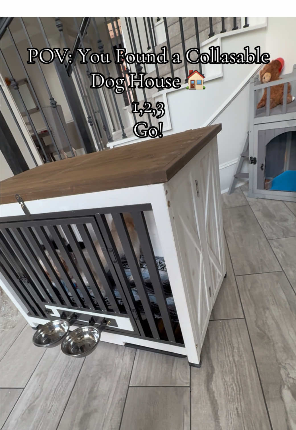 They love it! #fyp #fypシ #paratiiiiiiiiiiiiiiiiiiiiiiiiiiiiiii #fypシ゚viral 