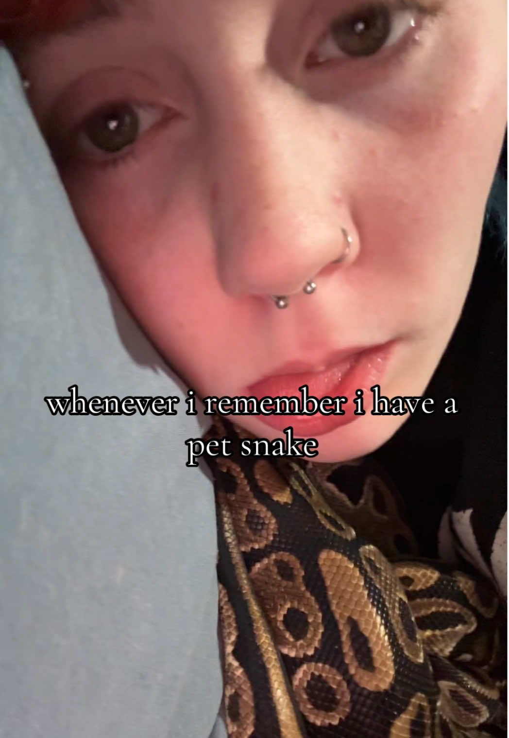 yes i know i have him wvery day and i love my baby so so so so so so so much #fyp #foryoupage #petsnake #09 #snake 