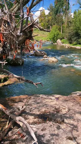 Despejando la mente 🫡 #salida #jado #sanando #todotienesutiempo 